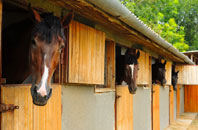 free Buckleigh stable construction quotes